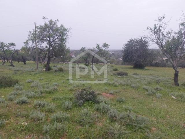 Terreno venda em Silves, Faro
