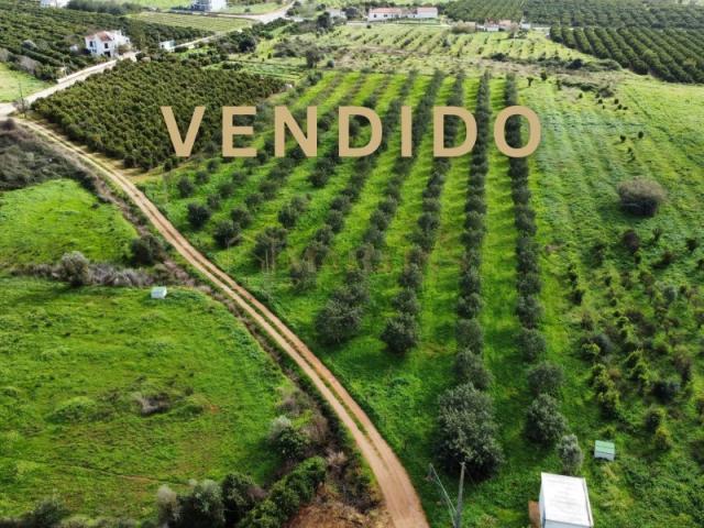 Terreno venda em Silves, Faro