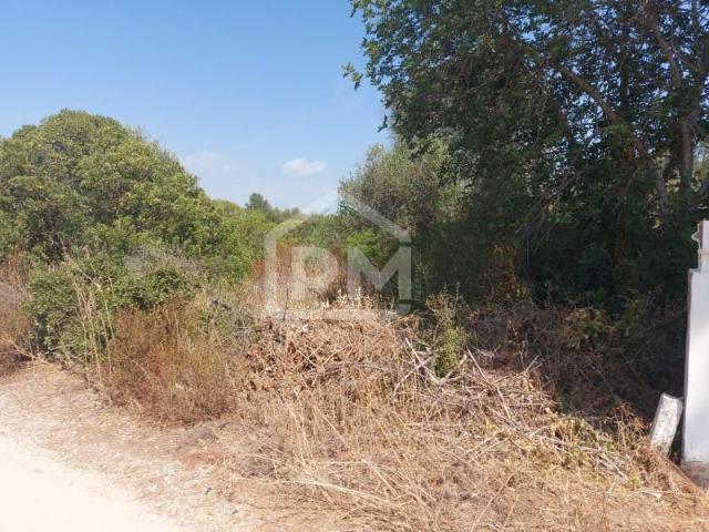 Terreno venda em Silves, Faro