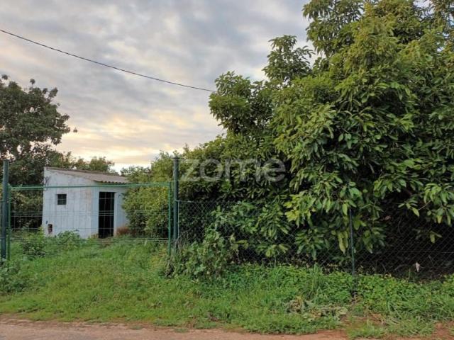Terreno venda em Silves, Faro