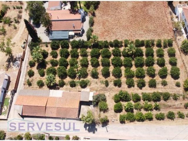 Terreno venda em Silves, Faro