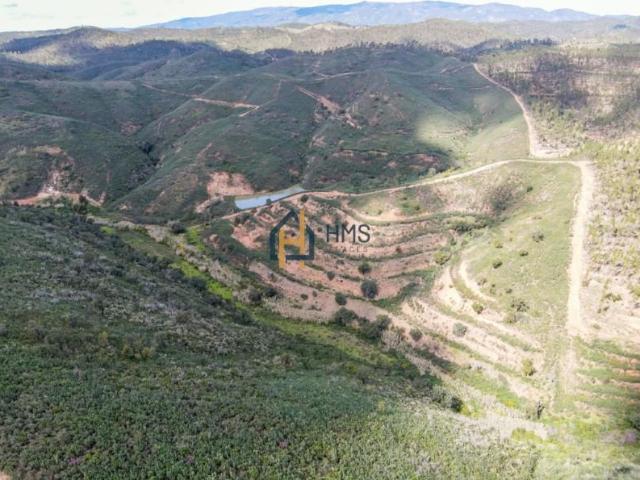 Terreno venda em Silves, Faro