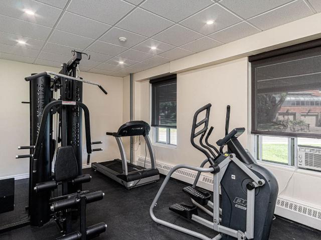 Apartment for rent in Kingston, Ontario
