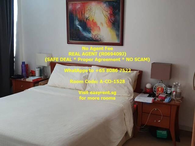 Room for rent