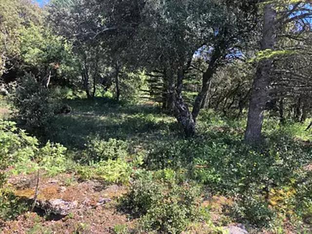 Terrain vente à Simiane-la-Rotonde, Alpes-de-Haute-Provence