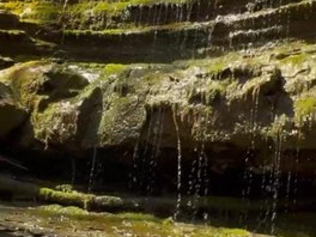 Land for sale in Tennessee