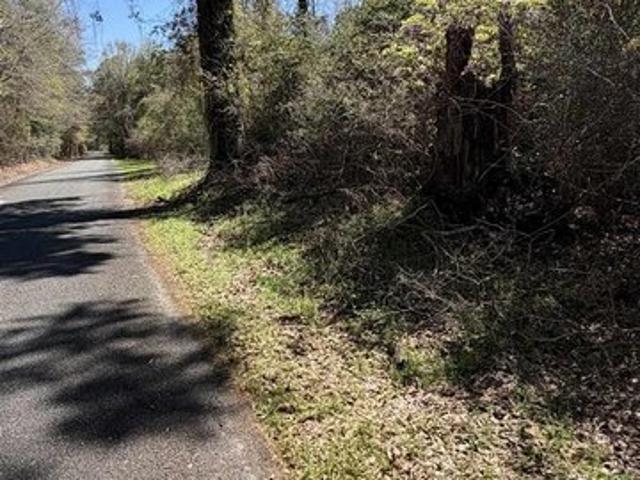 Land for sale in Deridder, Louisiana