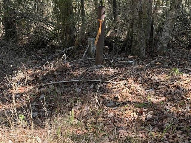 Land for sale in Deridder, Louisiana
