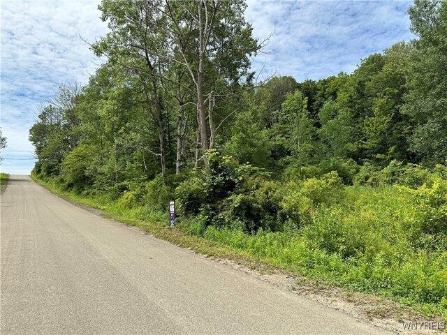 Land for sale in Ellicottville