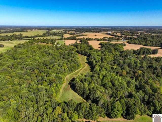 Farm for sale in Hickman, Kentucky