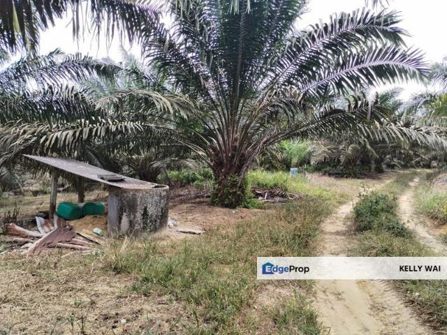 Shop for sale in Kluang, Johor