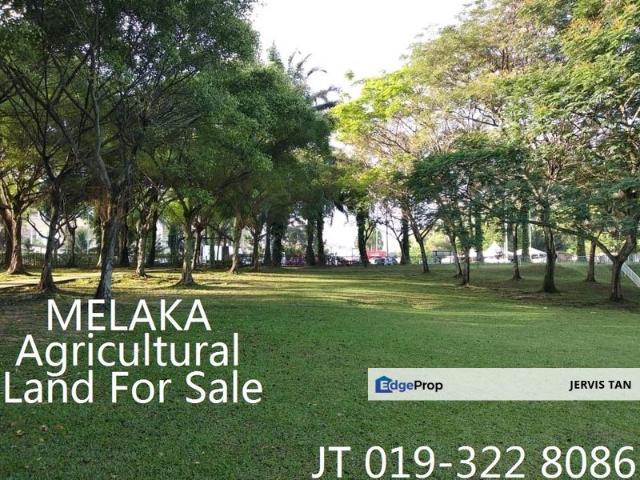 Shop for sale in Malaka
