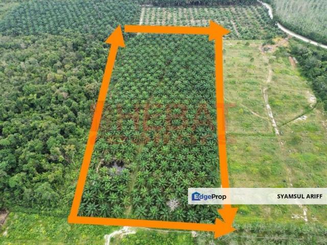 Shop for sale in Pahang