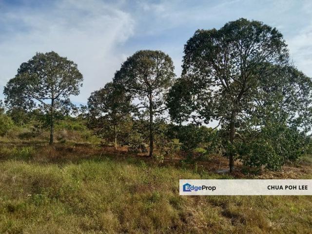 Shop for sale in Negeri Sembilan