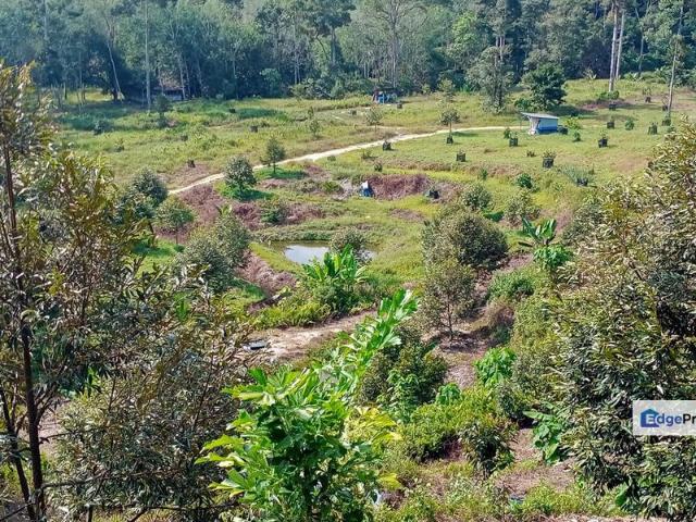 Shop for sale in Negeri Sembilan