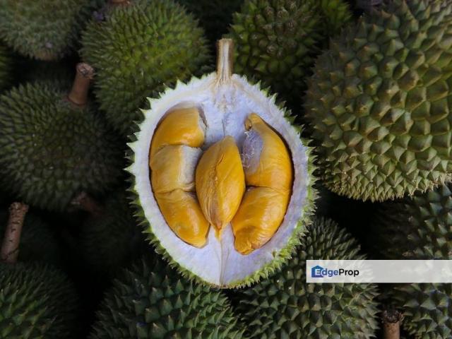 Shop for sale in Negeri Sembilan