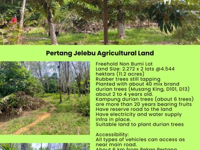 Shop for sale in Negeri Sembilan