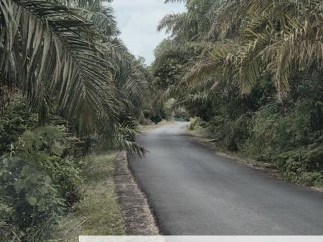 House for sale in Rengam, Johor