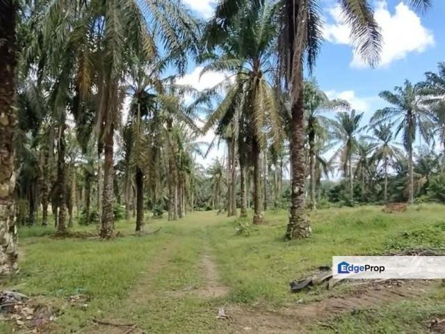 Shop for sale in Rengam, Johor