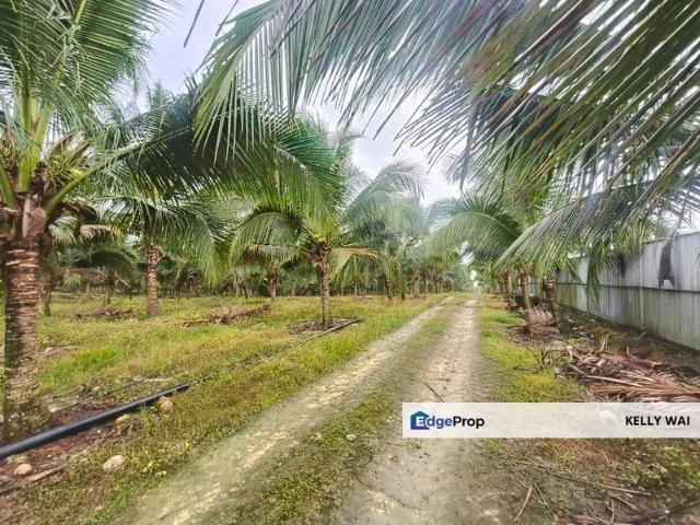 Shop for sale in Rengam, Johor