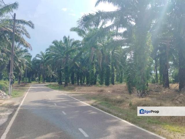 Shop for sale in Rengam, Johor