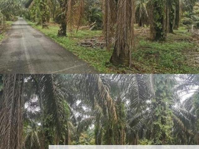 Shop for sale in Rengam, Johor