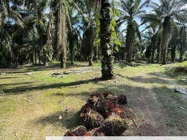 Shop for sale in Rengam, Johor
