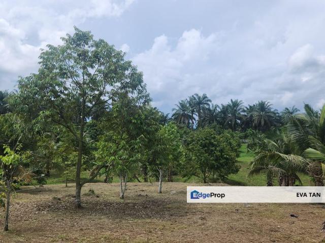 Warehouse for sale in Rengam, Johor