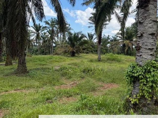 Shop for sale in Rengam, Johor