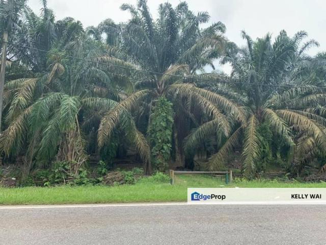 Shop for sale in Rengam, Johor