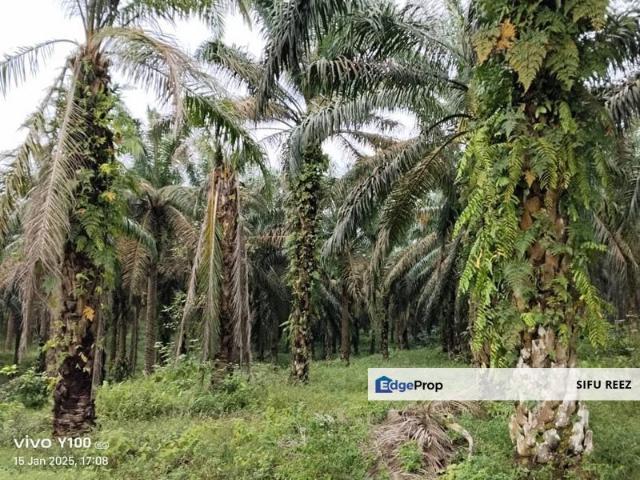 Shop for sale in Rengam, Johor