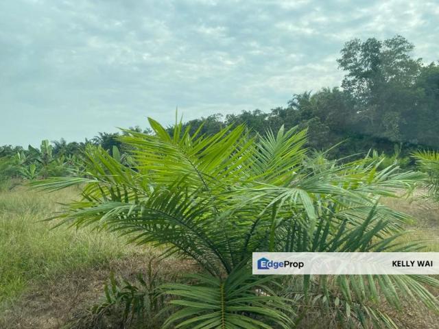 Shop for sale in Rengam, Johor