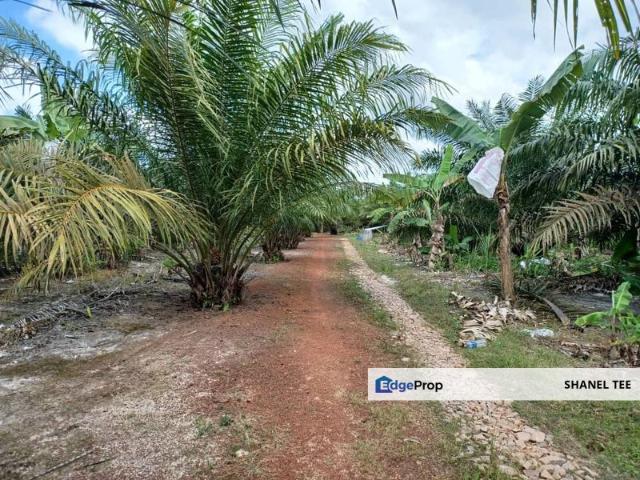Shop for sale in Rengam, Johor