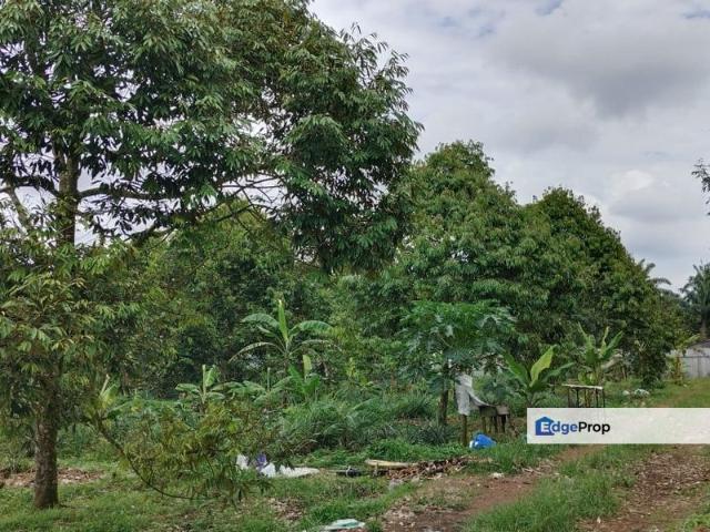 Shop for sale in Rengam, Johor