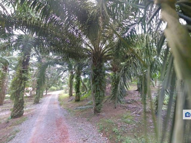 Shop for sale in Rengam, Johor