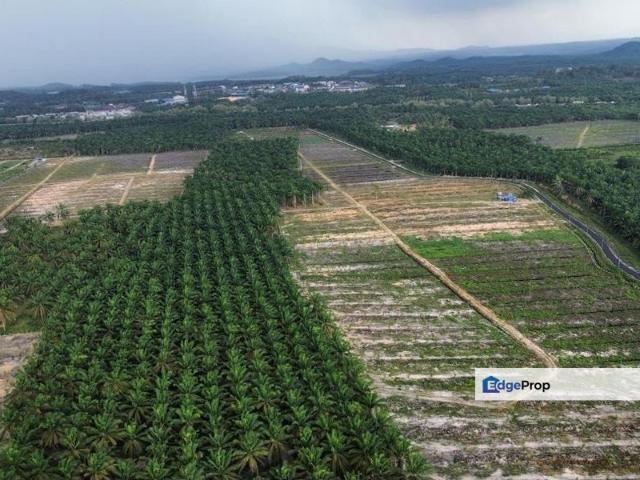 Shop for sale in Rengam, Johor