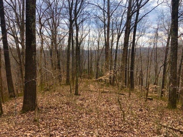 Land for sale in Tennessee