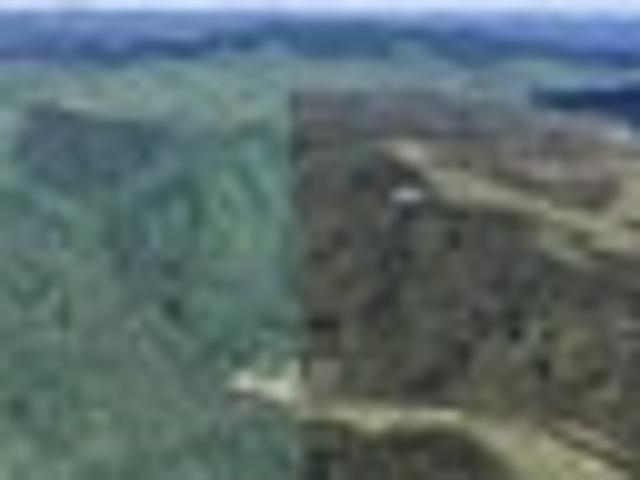 Land for sale in Waikato