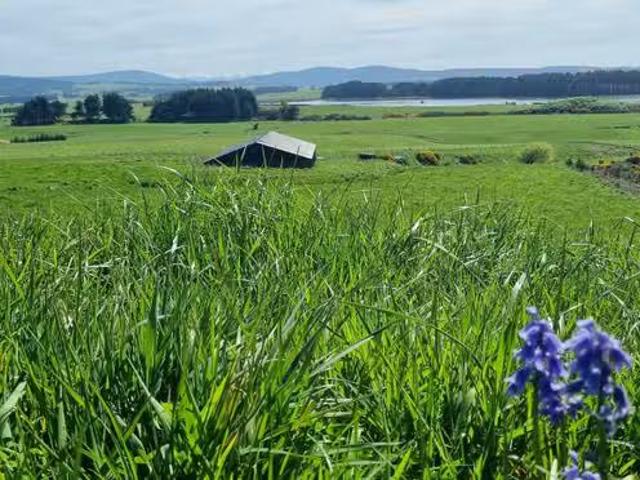 House for sale in Longwood, Southland