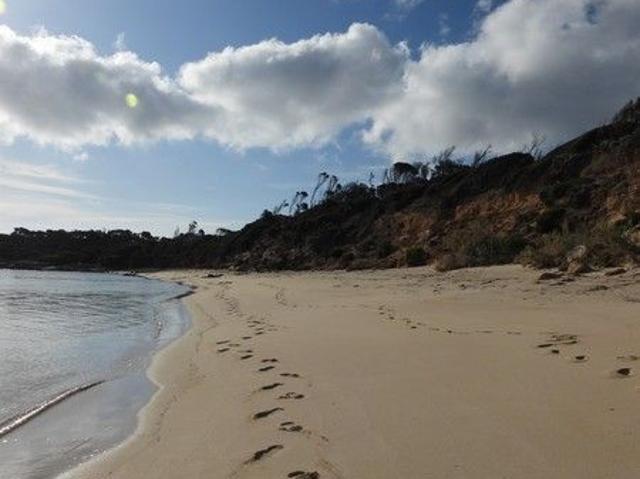 Cottage for sale in Leeka, Tasmania