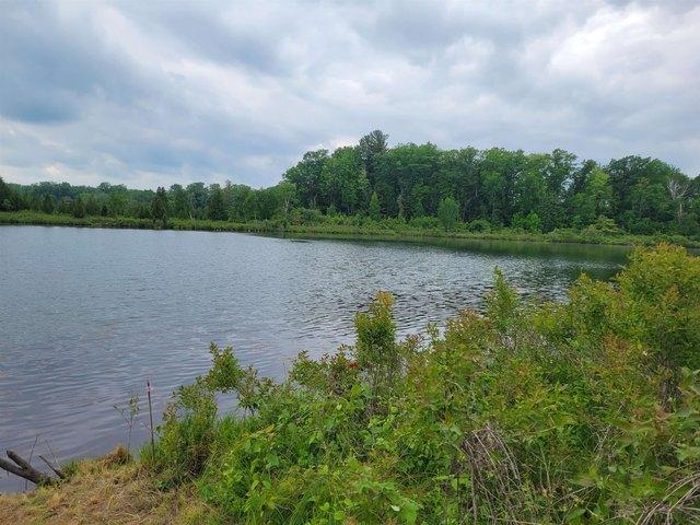 Land for sale in Clare, Michigan