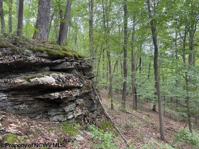 Farm for sale in Belington, West Virginia