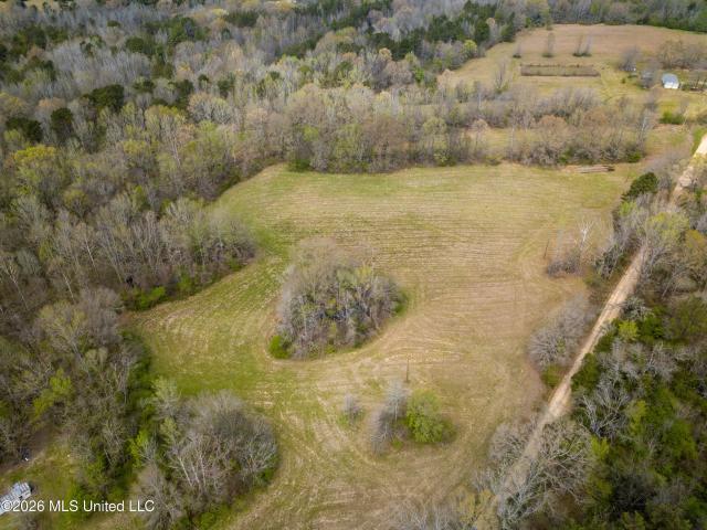 Land for sale in Pickens, Mississippi