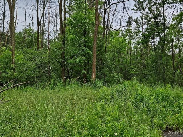 Land for sale in Cazenovia, New York