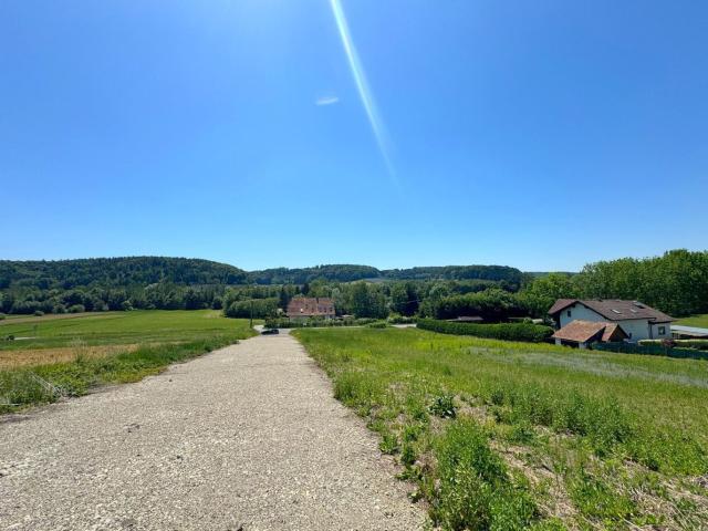 Grundstück kaufen in Sinabelkirchen, Steiermark