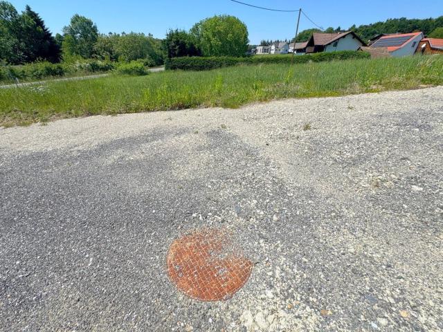 Grundstück kaufen in Sinabelkirchen, Steiermark