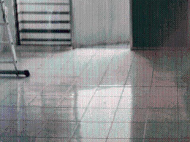 Apartment for rent in Georgetown, Penang