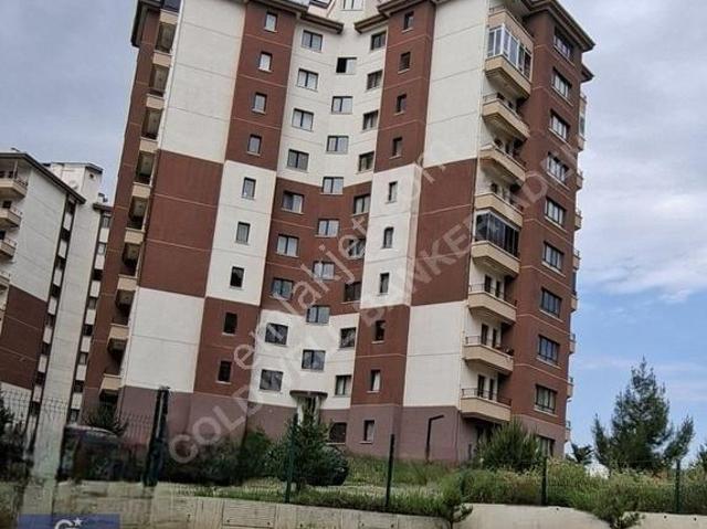 Alcı, Sincan içerisinde kiralık mülk