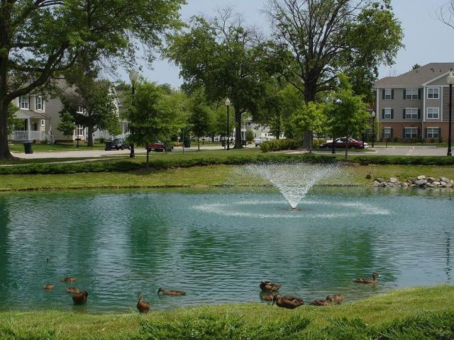 Apartment for rent in Virginia