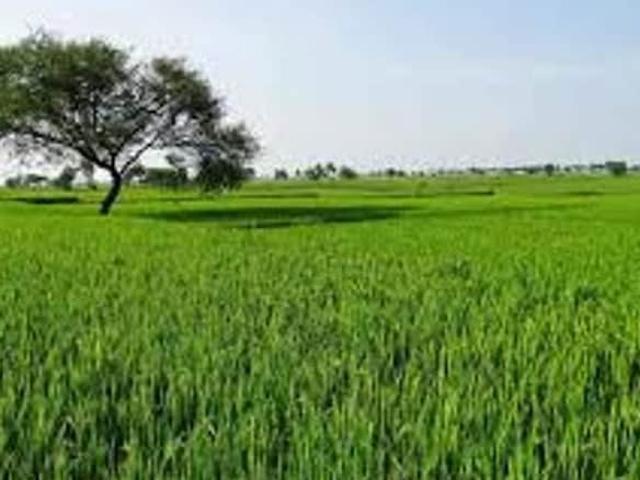 Land for sale in Chandrapur, National Capital Territory Of Delhi